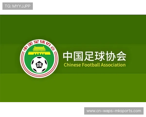 中超联赛青训联盟促成资源共享与训练标准化